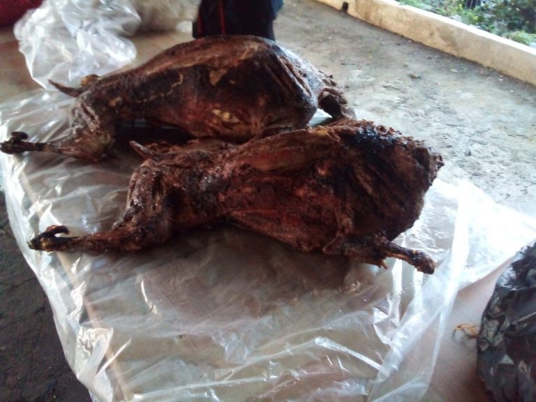 WhatsApp Image 2021-10-11 at 10.47