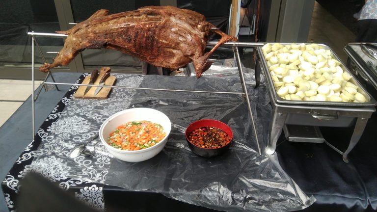 WhatsApp Image 2022-11-23 at 17.24