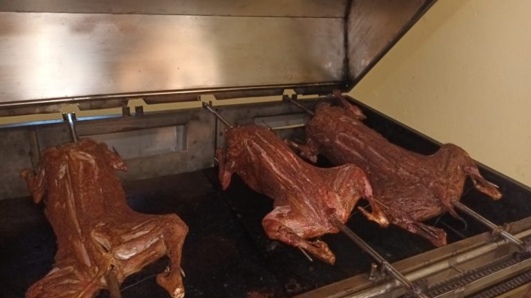 WhatsApp Image 2022-11-23 at 17.24