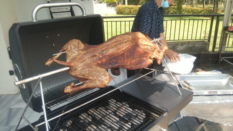 WhatsApp Image 2022-11-26 at 08.52